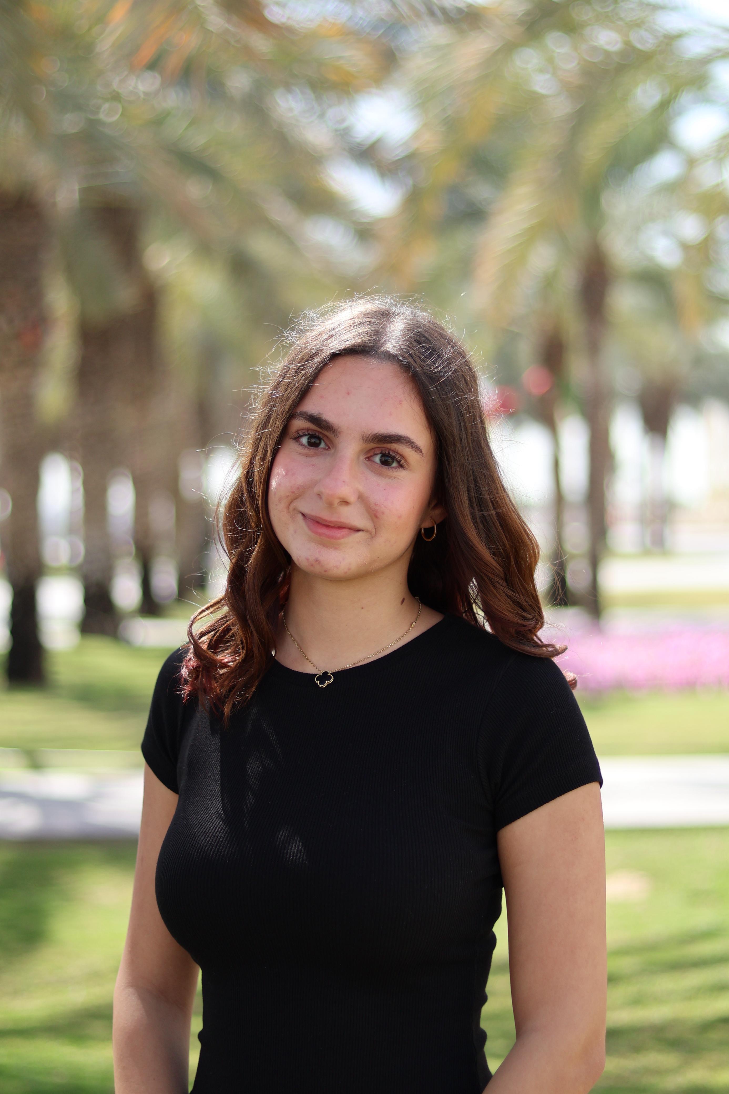 Arab League (ENG) Chair 1